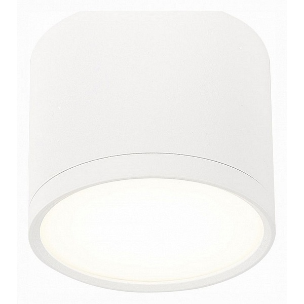 Спот ST LUCE RENE ST113.542.09