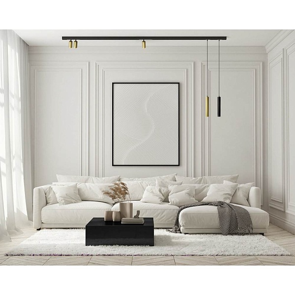 Трековый светильник DENKIRS SMART DK8008-BG