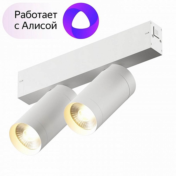 Трековый светильник DENKIRS SMART DK8012-WH
