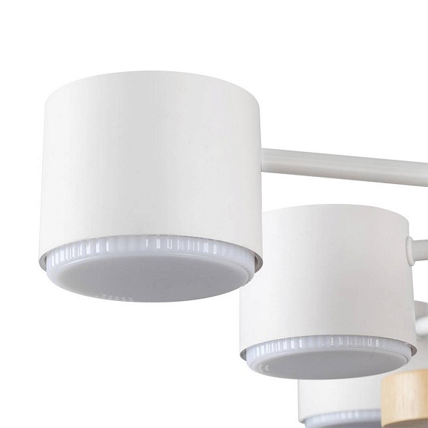 Люстра потолочная LUMION RONDO 8196/10C
