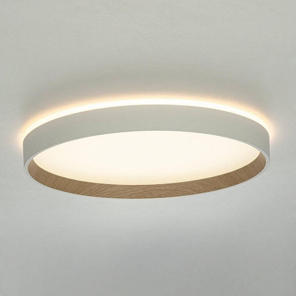 Светильник потолочный CITILUX ETALON CL750320R