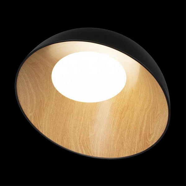Светильник потолочный LOFT IT EGG 10197/500 Black