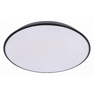 Светильник потолочный LOFT IT BRIM 10226 Black