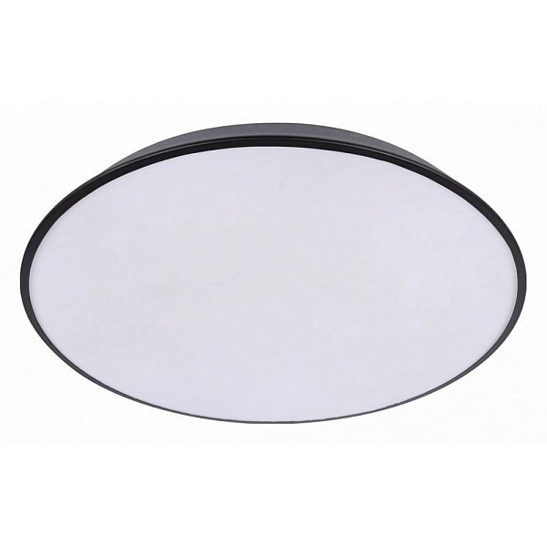 Светильник потолочный LOFT IT BRIM 10226 Black