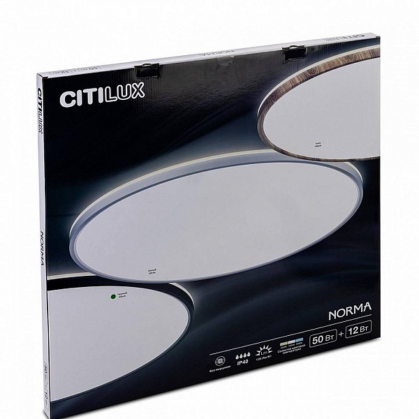 Светильник потолочный CITILUX NORMA CL748601