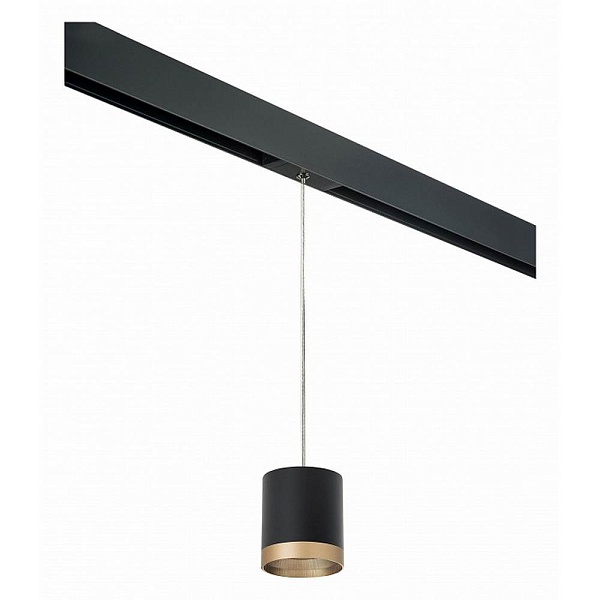 Трековый светильник LIGHTSTAR RULLO PRORP348790