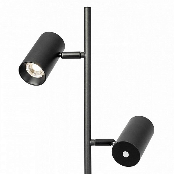 Торшер CITILUX TWIN CL809011N