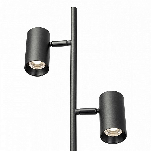 Торшер CITILUX TWIN CL809011N