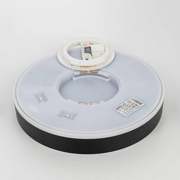 Светильник потолочный CITILUX ETALON CL750241