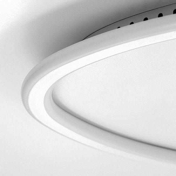Светильник потолочный CITILUX ТRIO CL215B250E