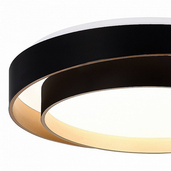 Светильник потолочный EVOLUCE CROSBY SLE6009-402-01