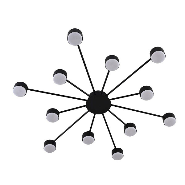 Люстра потолочная LUMION TORINA 8344/12C