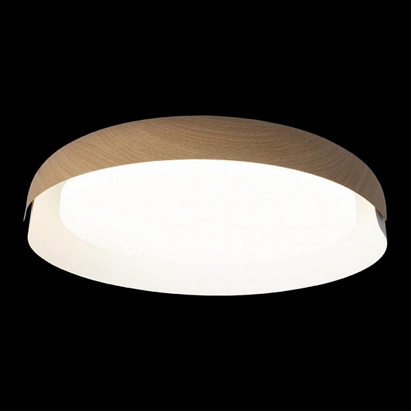 Светильник потолочный LOFT IT COIN 10198 White