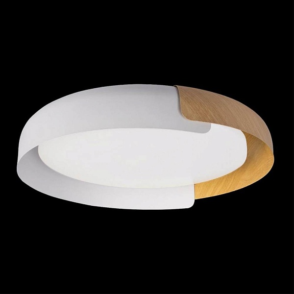 Светильник потолочный LOFT IT COIN 10198 White