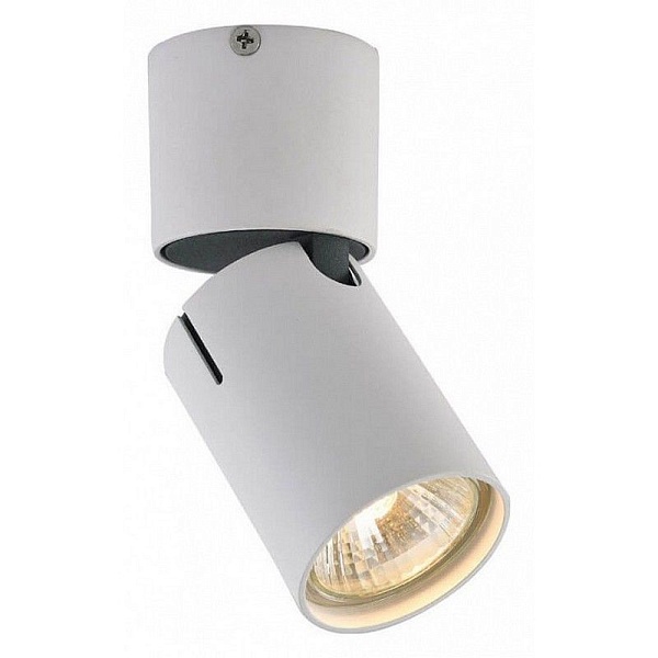 Спот VELE LUCE CARRISI 742 VL8061S21