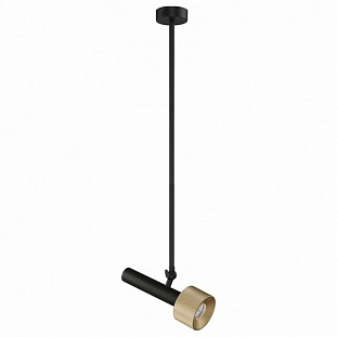 Подвес ILEDEX DELTA 2361-1 BK+BR