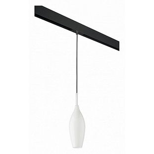 Трековый светильник LIGHTSTAR PENTOLA PRO803020