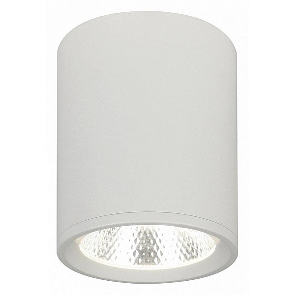 Спот ESCADA 20003 20003SMU/02LED SWH