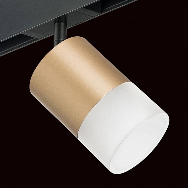 Трековый светильник LIGHTSTAR RULLO PRO349081