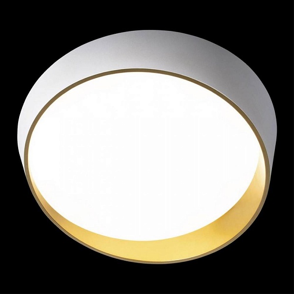 Светильник потолочный LOFT IT COIN 10199 White
