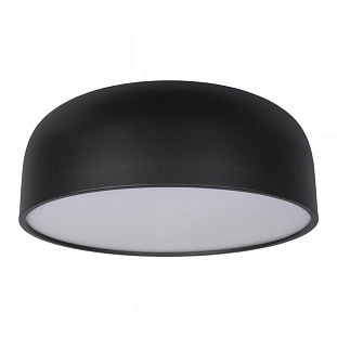 Светильник потолочный LOFT IT AXEL 10201/480 Black