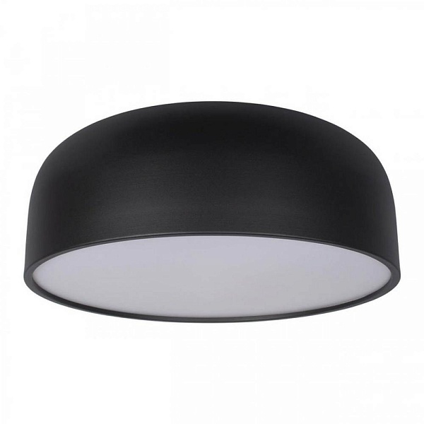 Светильник потолочный LOFT IT AXEL 10201/480 Black