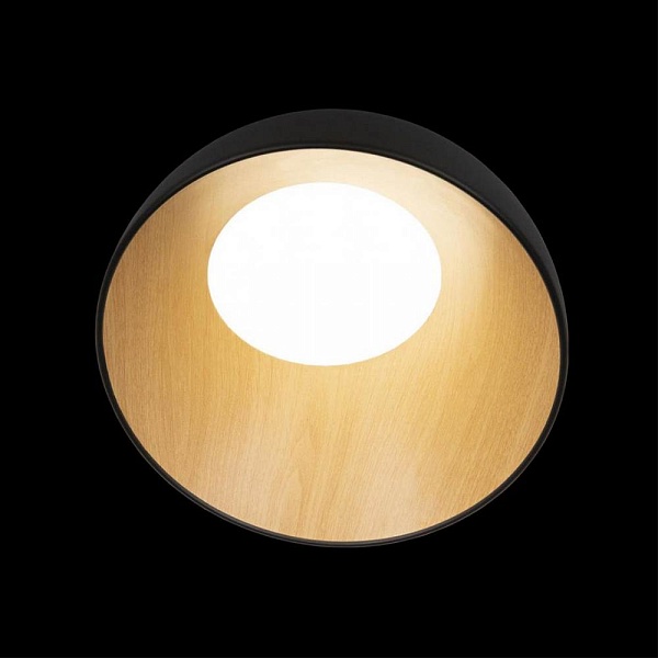 Светильник потолочный LOFT IT EGG 10197/350 Black