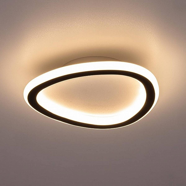 Светильник потолочный CITILUX ТRIO CL215B221