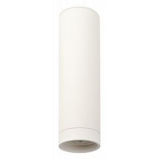 Спот DENKIRS DK2000 DK2052-WH