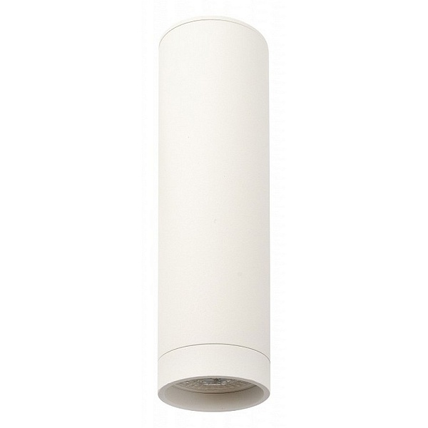 Спот DENKIRS DK2000 DK2052-WH