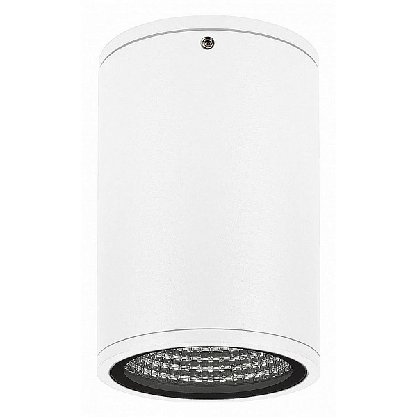 Спот ARLIGHT FORMA 37261