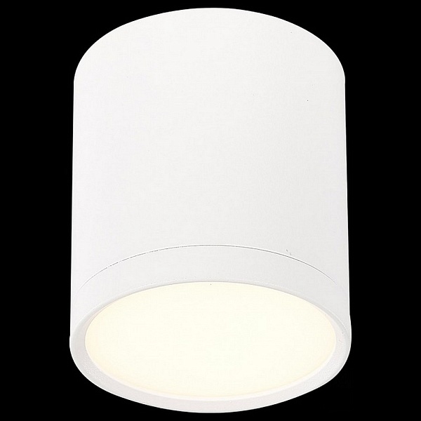 Спот ST LUCE RENE ST113.532.05