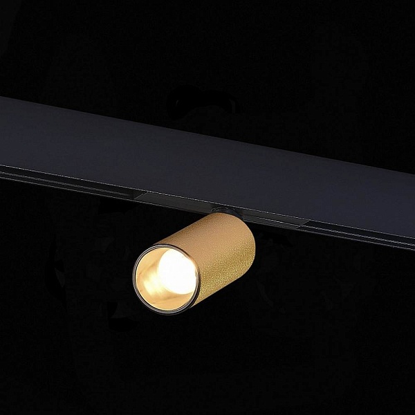Трековый светильник ST LUCE ST807 ST807.246.12