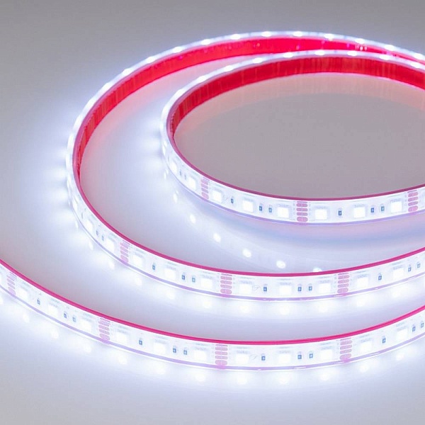 Лента LED RTW-PFS-B60 14,4 W/m 12V IP68 5060/60 K 13mm (5м) 33790 ARLIGHT