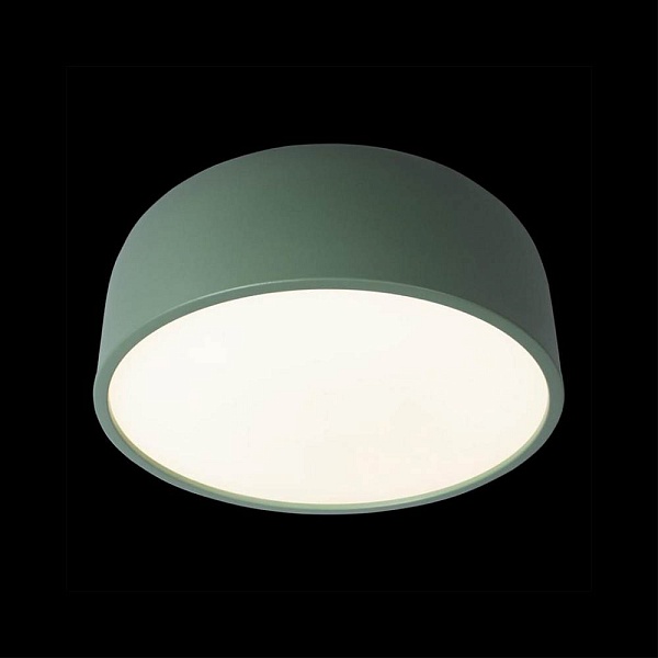 Светильник потолочный LOFT IT AXEL 10201/350 Green