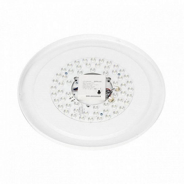 Светильник потолочный CITILUX BOSS CL751351G