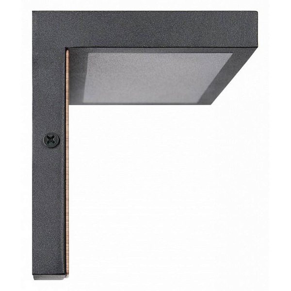 Светильник уличный настенный LOFT IT OAK 100001W