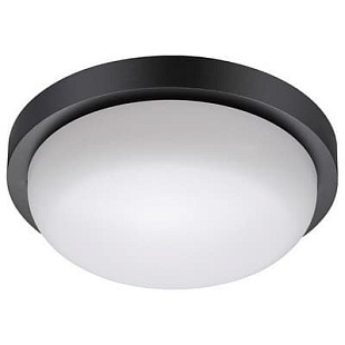 Светильник уличный потолочный NOVOTECH OPAL 358017