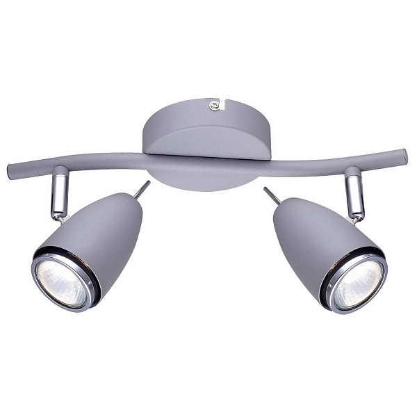 Спот ARTE LAMP Regista A1966AP-2GY