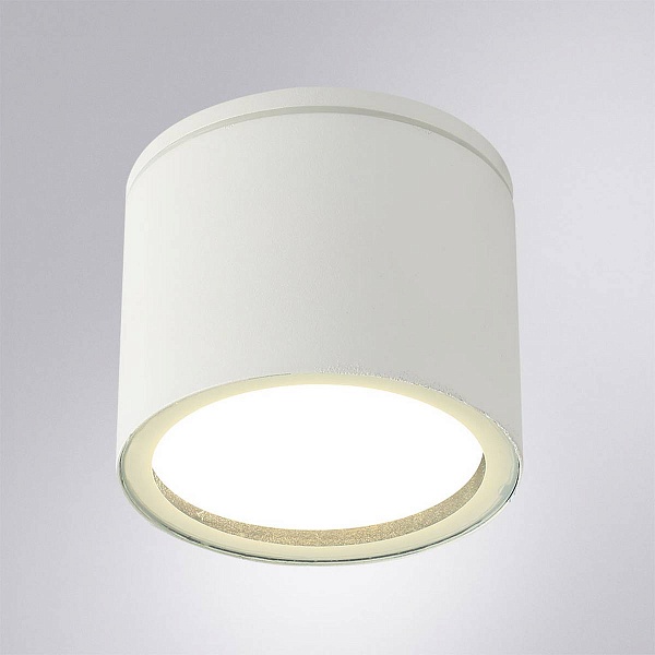 Светильник уличный потолочный ARTE LAMP PIAUTOS A1913PF-1WH