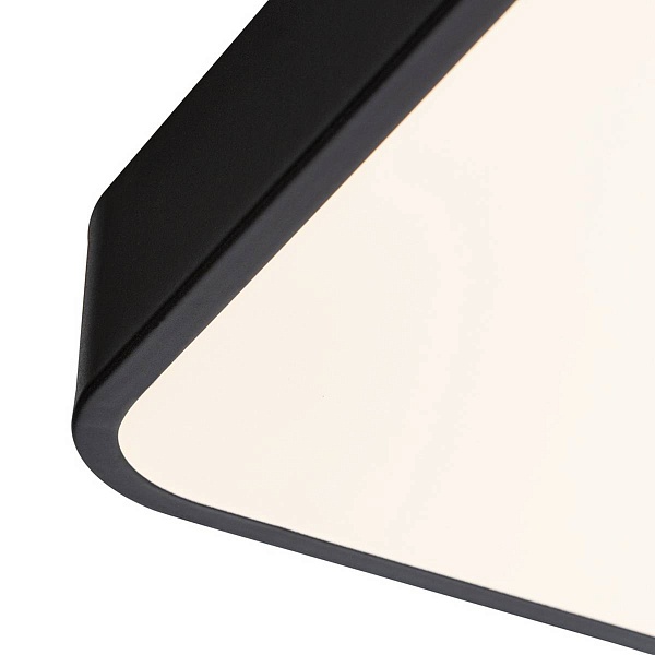 Светильник потолочный ARTE LAMP SCENA A2669PL-1BK