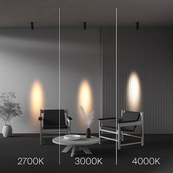 Спот MAYTONI FOCUS LED C055CL-L12W4K-SS-B
