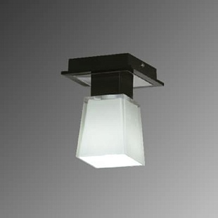 Светильник потолочный LUSSOLE LENTE LSC-2507-01