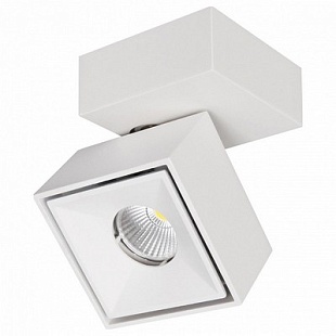 Спот CITILUX СТАМП CL558020N