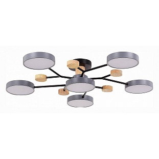 Люстра потолочная EVOLUCE FAEMA SLE6006-702-06