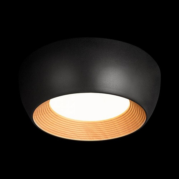 Светильник потолочный LOFT IT FOLK 10255/350 Black