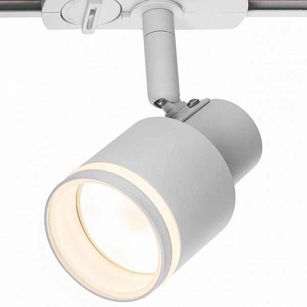 Трековый светильник CITILUX BRUNO CL565T10