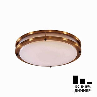 Светильник потолочный CITILUX БОСТОН CL709323N