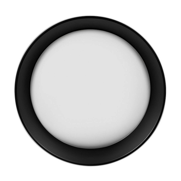 Светильник потолочный LOFT IT COIN 10202 WB