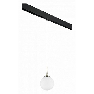 Трековый светильник LIGHTSTAR GLOBO PRO813021
